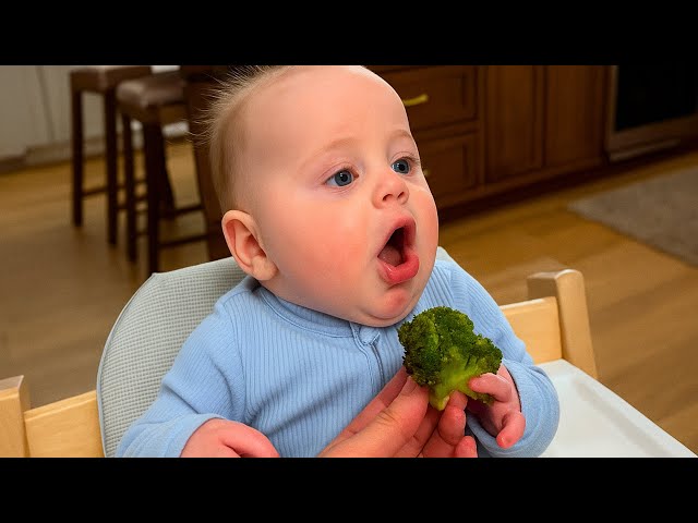 Hilarious and Cutest Baby Reactions Moments! - Funny Babies Videos