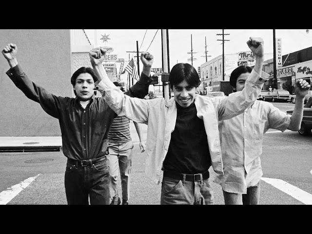"What Is a Chicano?" A Brief History and Analysis of Chicanos