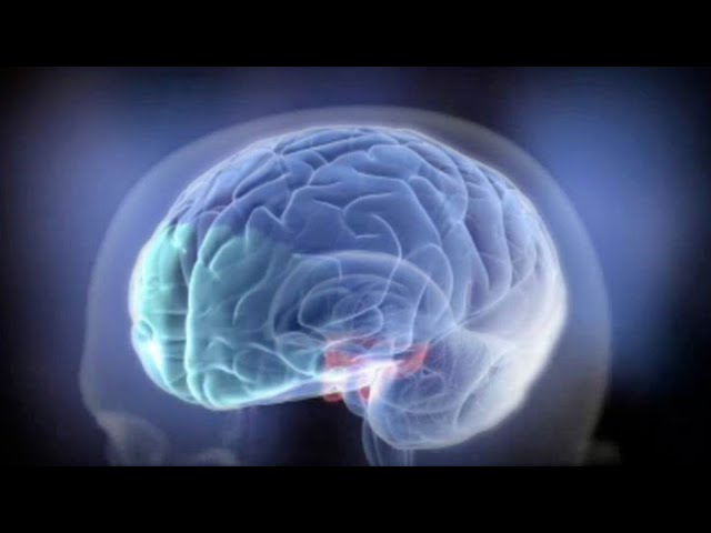 Welcome to Class: Introduction to Neuroscience