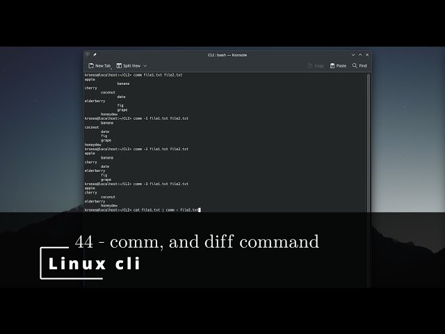 Linux CLI 44 🐧 comm, and diff command