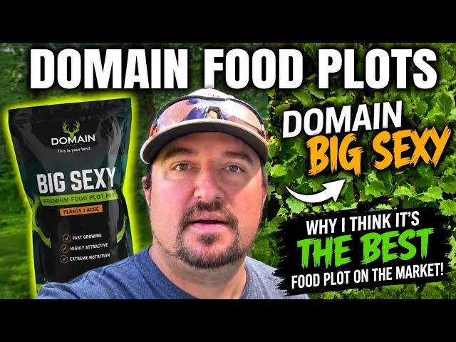 🔥 The BEST Food Plot for BIG Bucks? | Domain Big Sexy Review #domainoutdoorsllc #domainoutdoor 