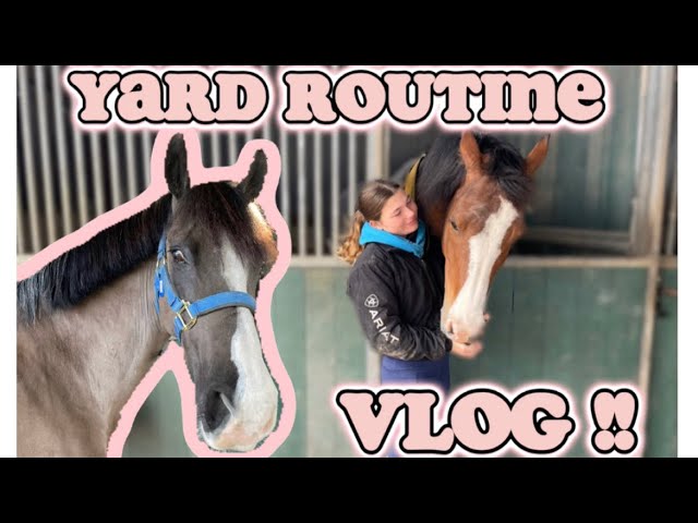 Yard routine / Vlog
