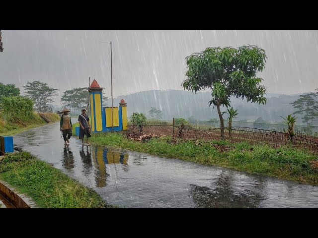 Sleep Deeply in 20 Minutes | Rain Sounds for Sleeping Relaxing - Central Java, Indonesia