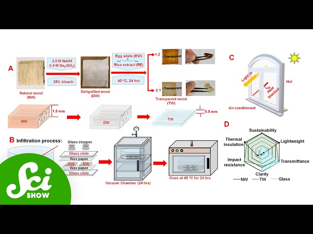 5 Weird Windows of the Future.