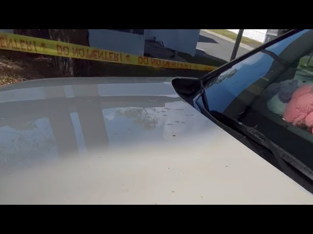 How to remove saps from car! Easy way!