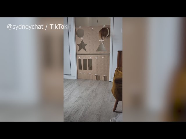 Sydney beats cardboard challenge
