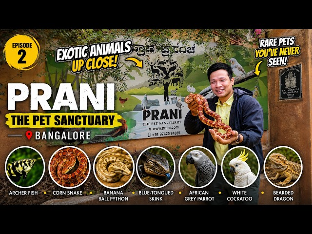 We Held a Corn Snake & Python 🐍 & Met Exotic Animals! | Prani The Pet Sanctuary, Bangalore | Ep. 2