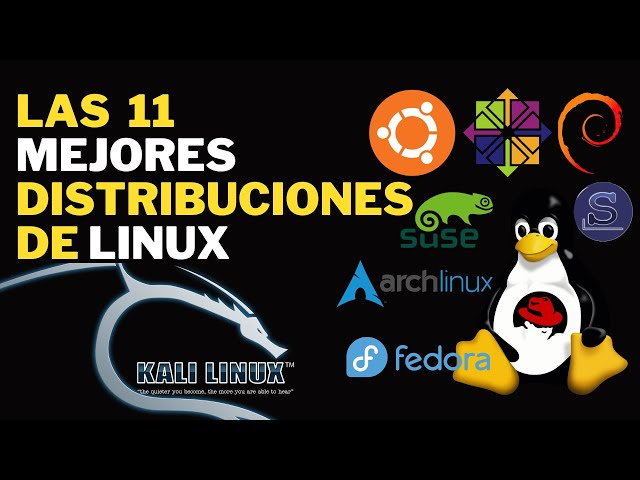 Las Distribuciones de Linux Más Conocidas | Historia y Características