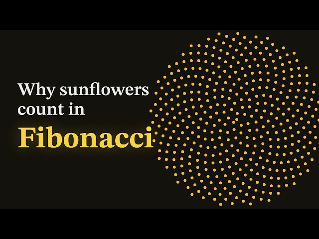 Why Sunflowers Count in Fibonacci