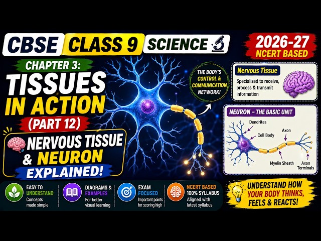CBSE Class 9 Science Chapter 3: Tissues in Action (Part 12) 🧠 | Nervous Tissue & Neuron Explained!