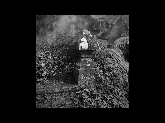 Messer - Wuthering Heights