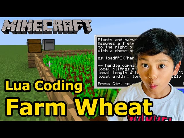 Minecraft Coding (9) Getting INFINITE Wheat and Seeds/AFK Wheat Farm using Lua Programming