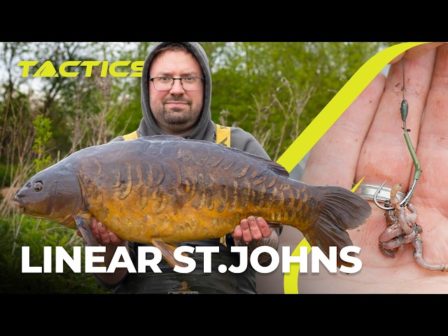 Linear Fisheries - St.Johns l Tactics with Loz East l S3 E1