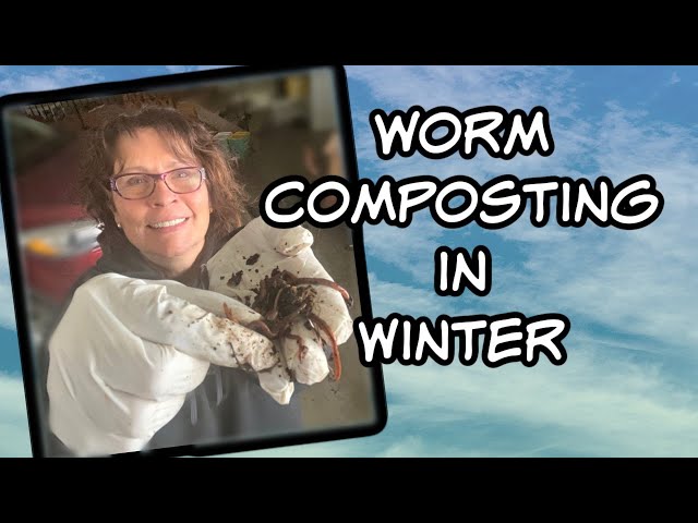 Worm Composting in the Winter - Feeding, Harvesting and Making Worm Tea