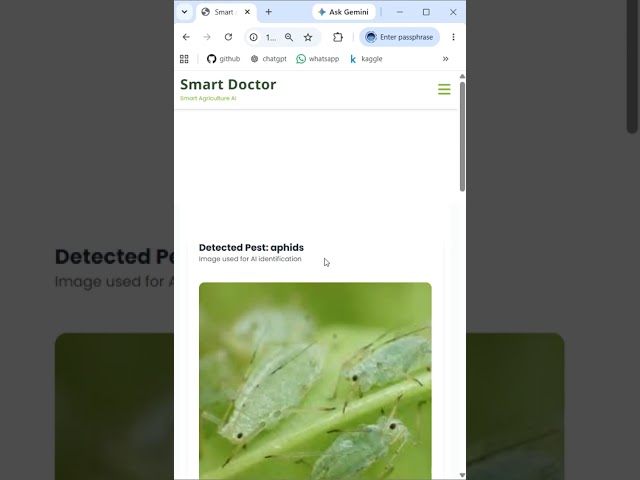 Agricultural Intelligence System