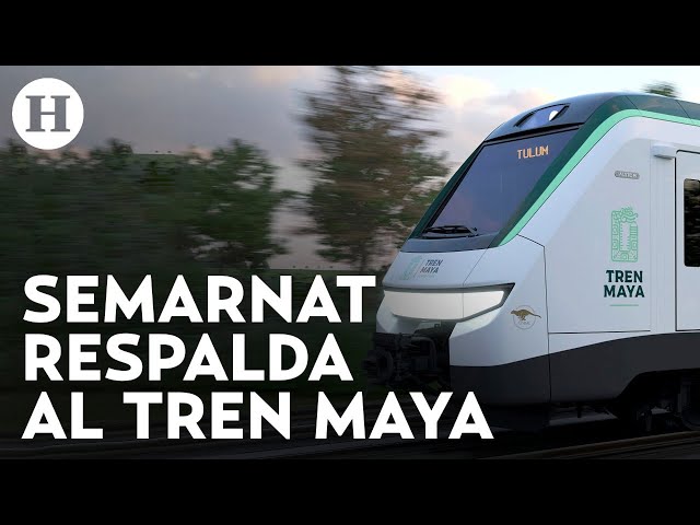 Tren Maya es ecológico y sustentable, así justificó la Semarnat durante comparecencia en el Senado