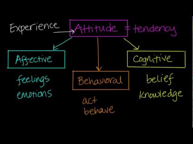 Components of Attitudes