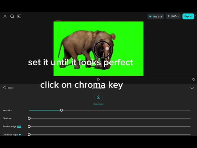 Tutorial how to remove background from a green screen video #tutorial #capcut