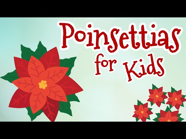 Poinsettias for Kids
