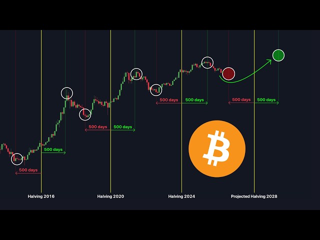 Bitcoin Holders: This Is Our Final Warning