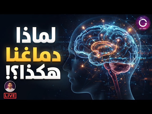 الدماغ البشري | كيف تطور؟ ولماذا هو بهذا الشكل؟ وكيف يعمل؟