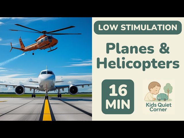 LOW STIMULATION Planes and Helicopters ✈️ for Toddlers! 🐄 16 Mins Calm Action | Kids Quiet Corner