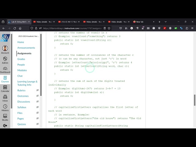 CS160 Java Lab 8: StringMethods Completed Project Demo