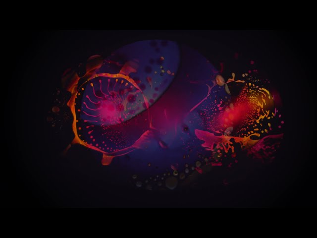 The Ragcoats - Z (Visualizer)