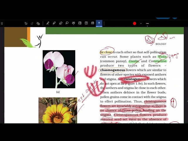 NCERT Solutions Class 12 Biology | Sexual Reproduction in Plants Part 4 | M. Mohanty