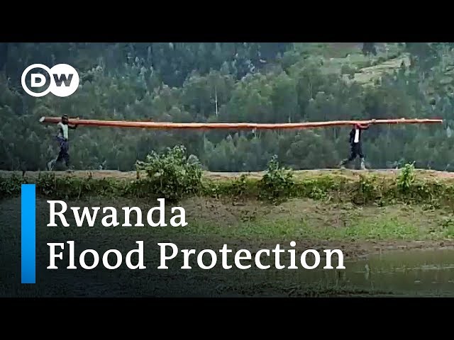 Rwanda: Building resilience to rain | Global Ideas