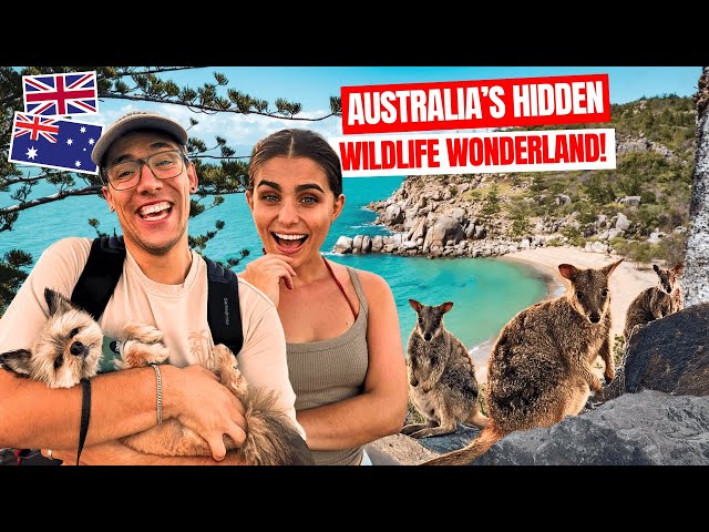 We Took Our Dog to Magnetic Island… Then THIS Happened! 🐶🇦🇺
