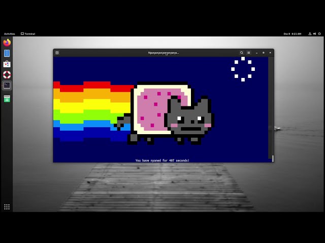 Linux User Nyanyanyan In A Container | Linux Memes