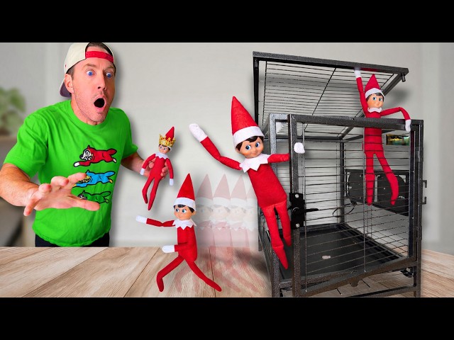 My Elves On A Shelf ESCAPED And DESTROYED My House!