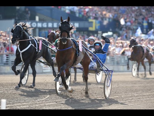 TIMOKO: THE STORY SO FAR