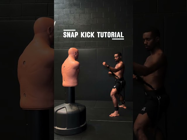 Snap kick tutorial