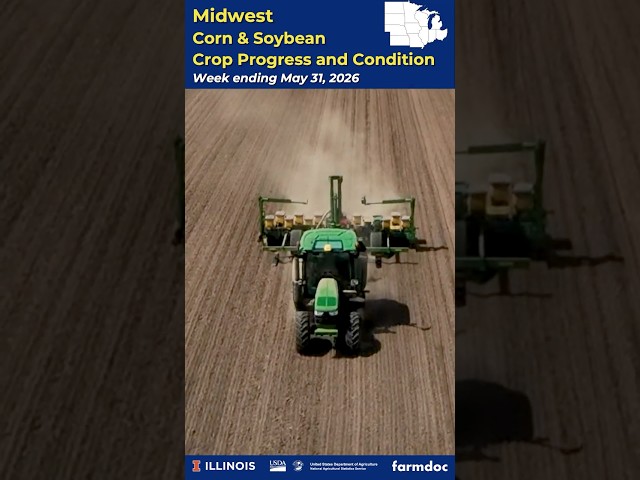 Midwest Crop Progress and Condition Breakdown | May 31, 2026 - Mobile Version
