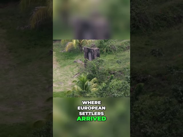 Discover Guyana - Exploring 365 Islands of History #guyana  #history #documentarychannel 📜🏝️