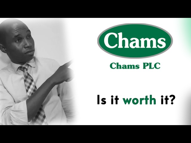 Is CHAMS PLC Stock Worth Buying Right Now?