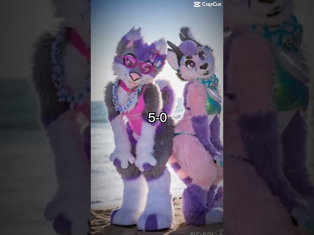 Furries V. Anti-Fur#Furryfandom#furry#antifurry#whowins