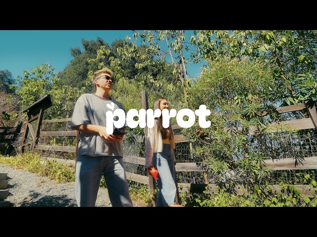 Introducing Polly 🦜 | Parrot Keynote