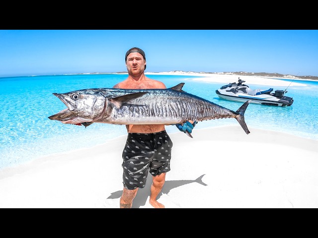 Giant Mackerel Catch And Cook On Tiger Shark Beach