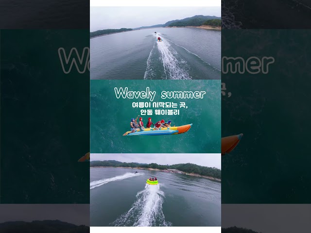 웨이블리 빠지에서의 완벽한 하루 계획법 #웨이블리 #안동빠지 #워터파크 #물놀이 #안동핫플 #MZ여행 #익스트림레저 #레저스포츠 #수상레저 #핫플레이스