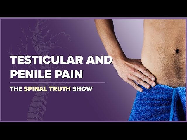 Testicular and Penile Pain