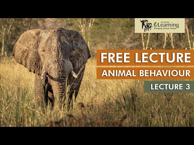 EcoTraining FREE Lecture on Animal Behaviour | Lecture 3