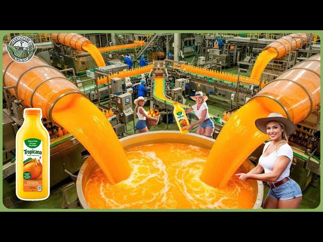 How Billions Orange Juice Bottles Are Produced – Amazing Orange Juice Factory Process