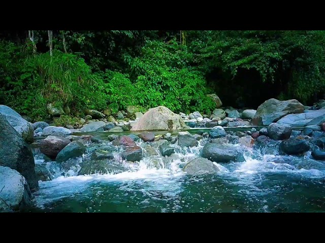 🌊 Deep Forest River ASMR Sounds for Sleep, Relaxation & Peaceful Mind