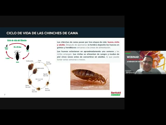 Rentokil - Terminix Webinar Chinches de Cama ¡Cuidado En Vacaciones!