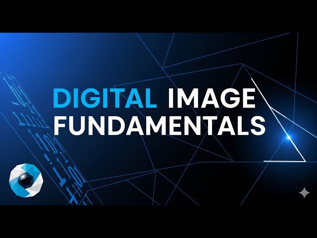 Digital Image Fundamentals | Basics of Digital Image Processing