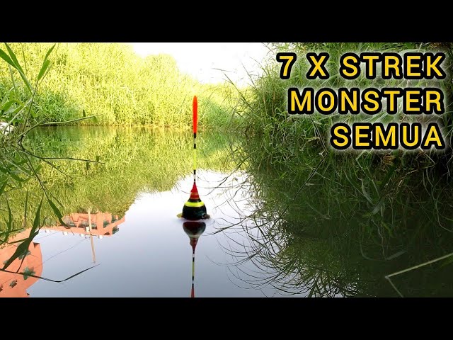 Super Big Tilapia Fishing Record My Bait Was Eaten By A Monster Red Tilapia #HP_120