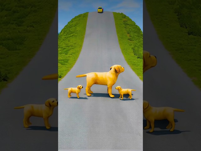 Big & Small Cars & Bus VS 3 Dogs - BeamNG.Drive 00